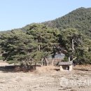 상고현 이미지