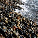 경주(부산) 이미지