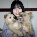 본아베띠 이미지