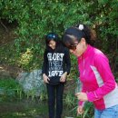 강동오토캠핑장 이미지