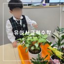 유아사고력수학 와이키즈 학원 후기 대구