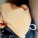 수랜드사우나 이미지