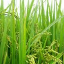 유구농장 이미지