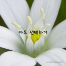 내면의 평온을 찾는 명상 이미지