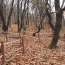 동우약수터 이미지