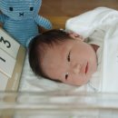 천사2빌딩 | 은평구 산후도우미 에스엠천사 2주 이용 후기