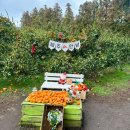 연정농장 이미지