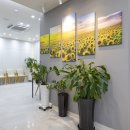 나래의원 이미지