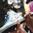 골든베니 이미지