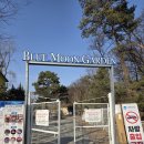 백화가든 | 남양주 애견동반 바베큐장 블루문가든 | 15kg 이하 가능·가격·예약방법 | 내돈내산