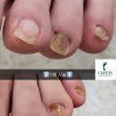 반디인하우스 앤 큐릭스 가산점