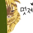 난니꼬양 네이버블로그