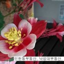 법무사양광석