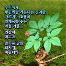 행복연장전 이미지