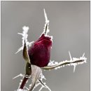 사랑은 아름다워라 이미지