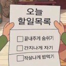 홀로스