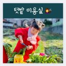 배추머리미용실 네이버블로그