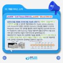 제네스젠 네이버블로그