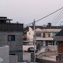 스테이마레 이미지