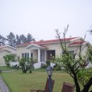 이디살래 이미지