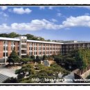 동성중학교 앞 이미지