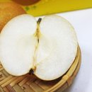 세종교역 | 전남 나주 배, 조선 통신사와 일본 상인의 교역 품목으로 사용된 이야기