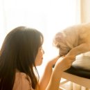 동물병원 WITH-PET 이미지