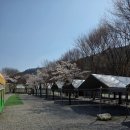 자연 속 힐링, 원주두리캠핑장 후기