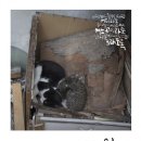 진북문화의집 네이버블로그