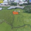 루시공인중개사사무소 이미지