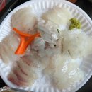 송정소문난횟집 이미지