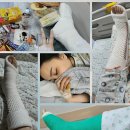 뷰티 앤 도그쇼 이미지