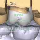 윤치과기공소 이미지