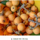 조흥농장 이미지