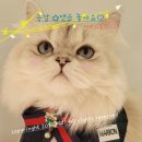 방이소곱창 이미지