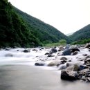 상이리 계곡 이미지