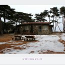 소나무숲속의하얀집 이미지