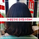 하루헤어 이미지
