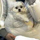 렛츠 고 영어 책놀이(하반기) | 새해라서 하고 싶은 것도 많은 2o26