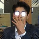 서울애견미용실 이미지