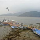 외포리선착장 이미지