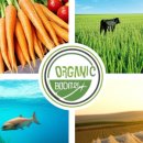 혁신푸드 이미지