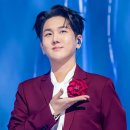 🎵신곡 TJ미디어 노래방 반주 추천해주세요 이미지