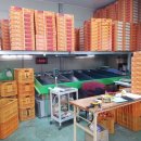 춘길농장 이미지