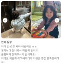 하라고헤어 이미지