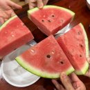 합천농업협동조합 | 합천반값여행 | 숙소, 맛집, 카페, 관광지 추천 및 반값여행 환급금 후기