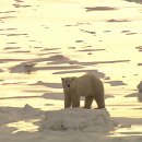 아낌없이주는나무 이미지