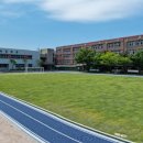 완도초등학교 앞 이미지