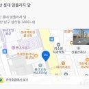 원주대문약국 이미지
