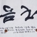 새봄약품 이미지
